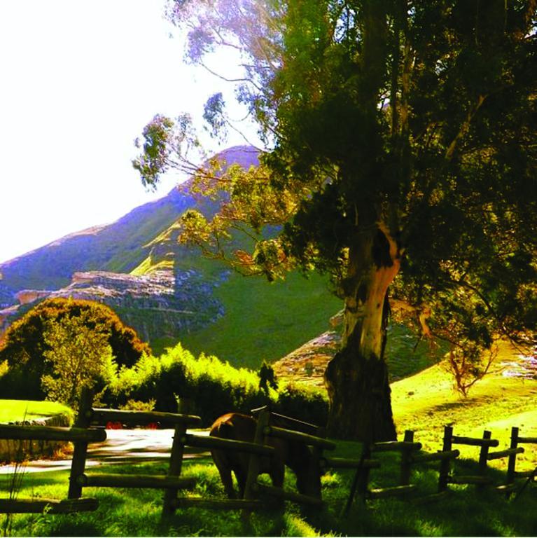 Lola'S Self Catering Accommodation Clarens Exteriör bild